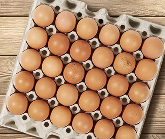Egg Trays - Reliable, Robust, Recyclable