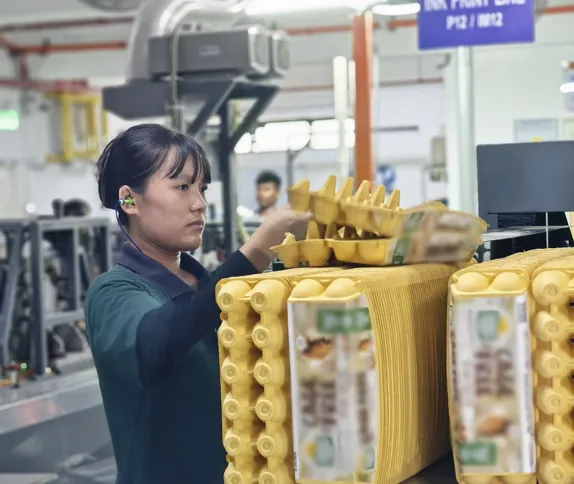 See our full Malaysian product program